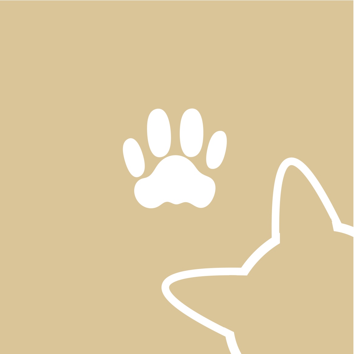 FurriBall - 寵物生活平台 Logo