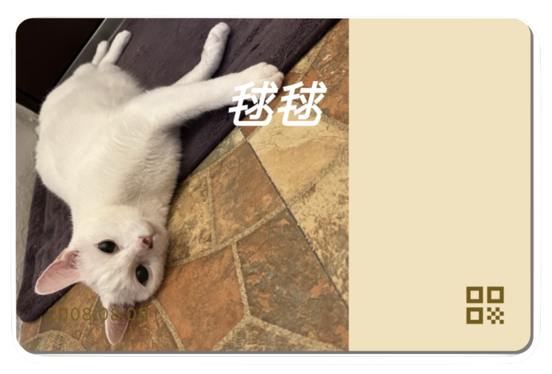 寵物資料卡片 - FurriBall 社群分享功能