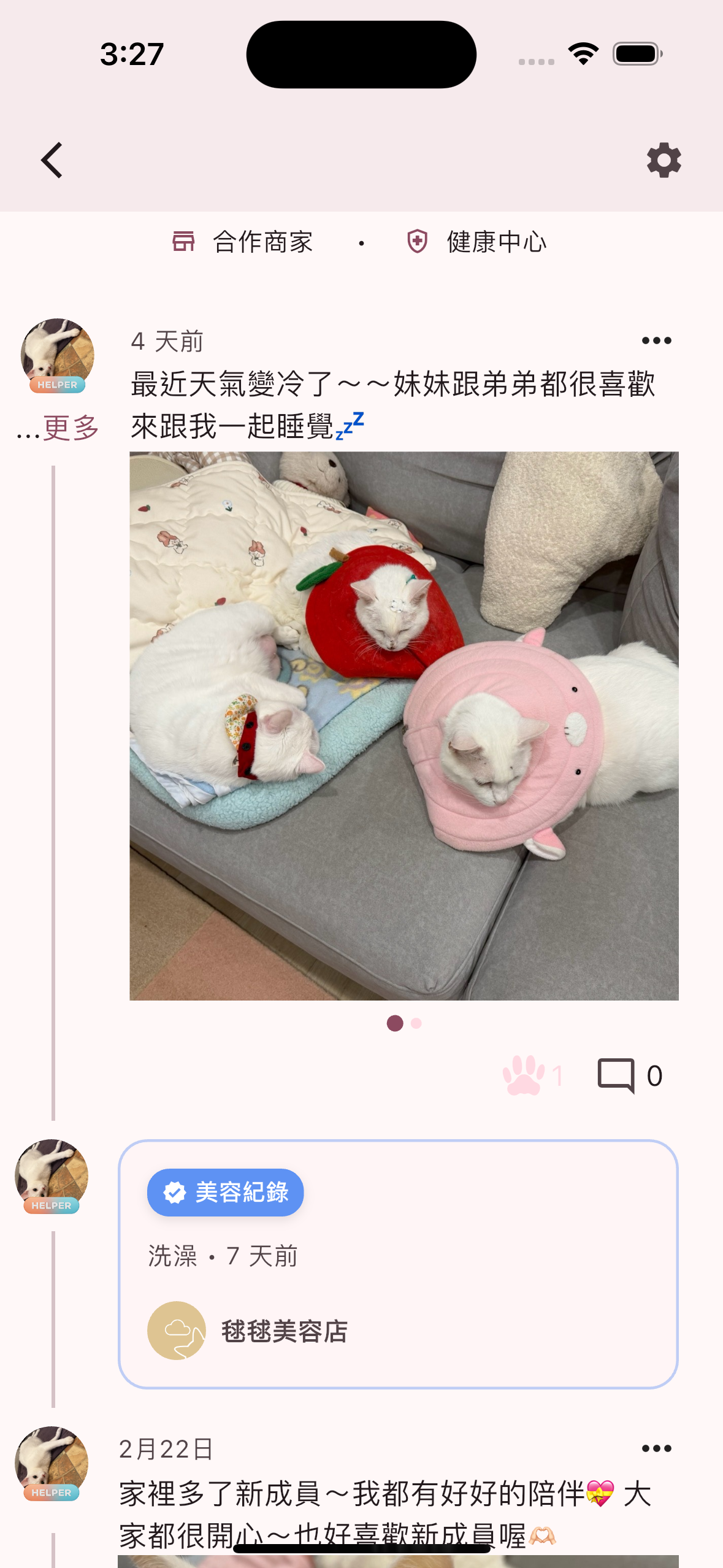 FurriBall App 寵物頁面畫面二